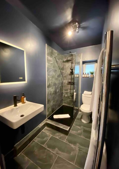Stylish Studio For 3 Near Regents Park N4 Лондон Екстер'єр фото
