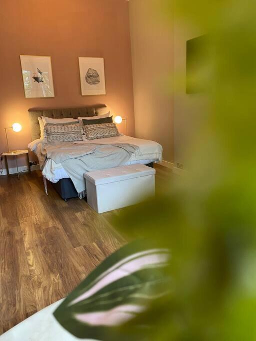 Stylish Studio For 3 Near Regents Park N4 Лондон Екстер'єр фото