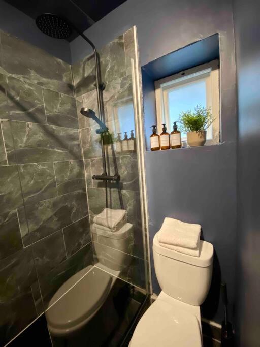 Stylish Studio For 3 Near Regents Park N4 Лондон Екстер'єр фото